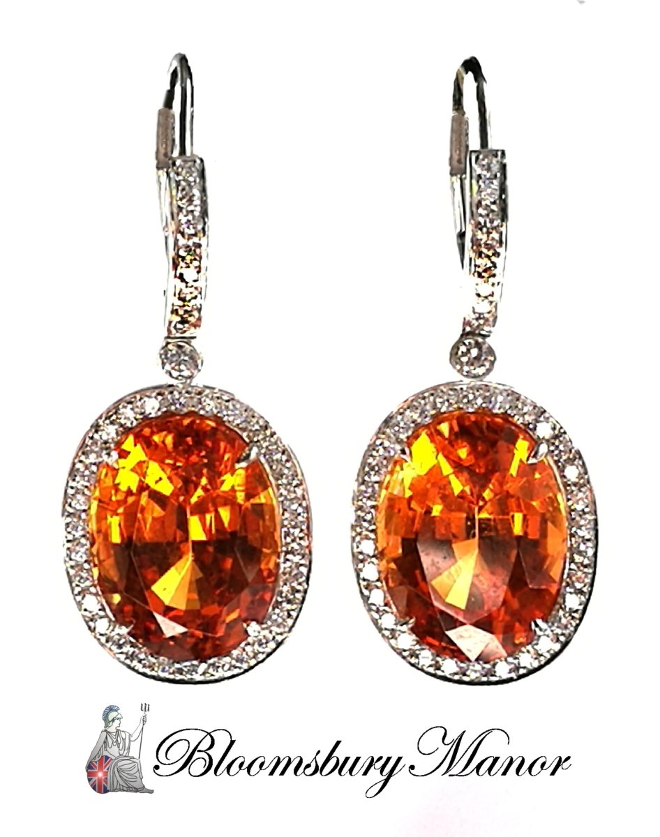 The Most Valuable Tiffany & Co Gemstone Earrings In The World! - Bloomsbury Manor Ltd