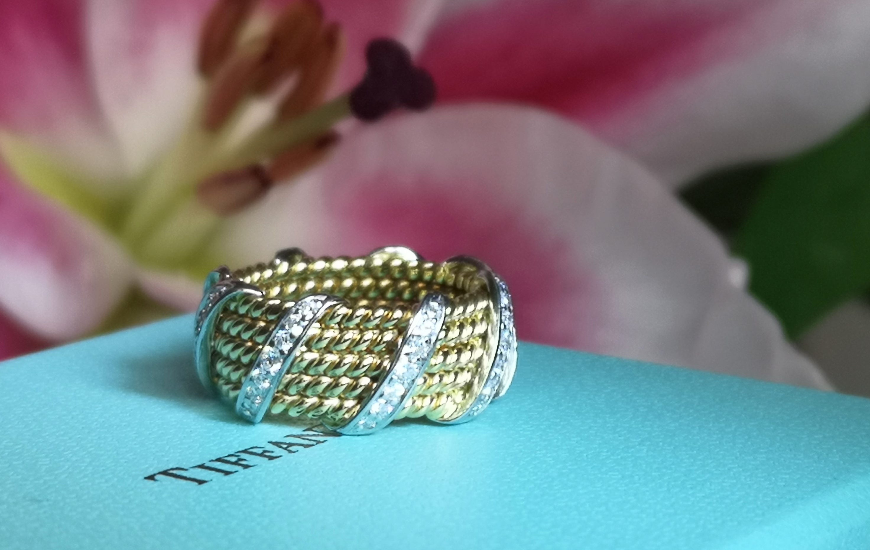 Tiffany & Co. Schlumberger Five Row Jean Schlumberger Diamond Rope Ring