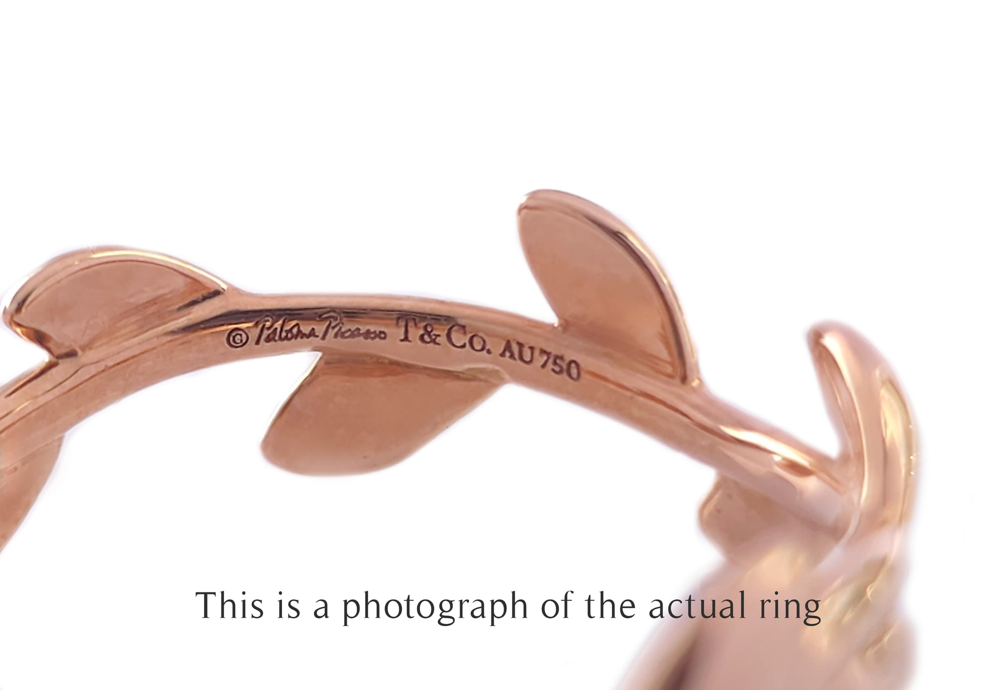 Tiffany & Co 18k Rose Gold Olive Leaf Ring