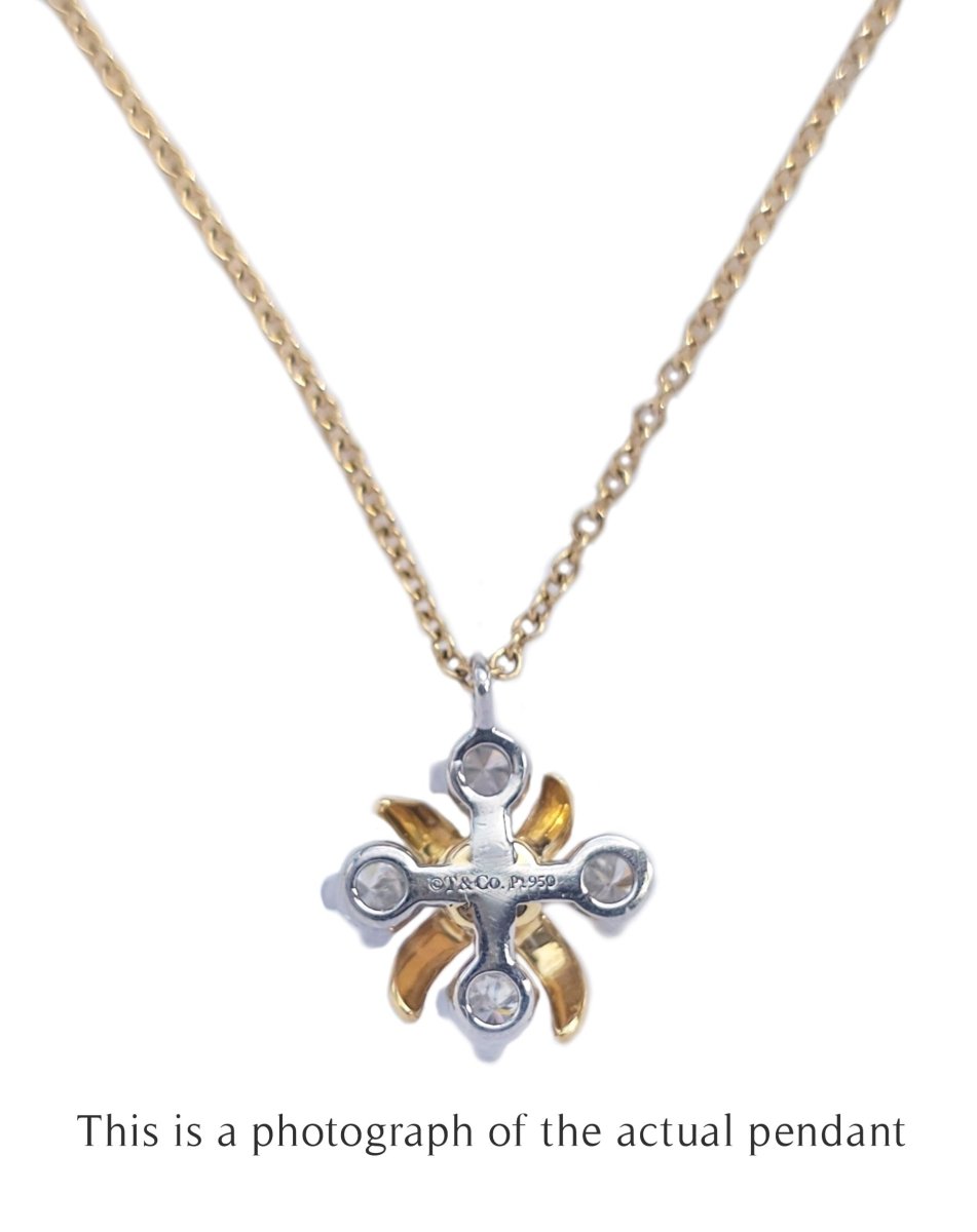 Tiffany & Co 16 Stone Lynn Jean Schlumberger Necklace - Bloomsbury Manor Ltd