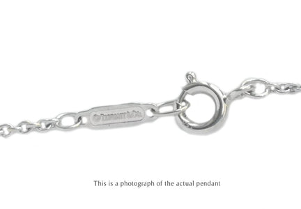 Tiffany & Co 18k White Gold Atlas Pendant - Bloomsbury Manor Ltd