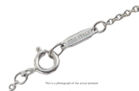 Tiffany & Co 18k White Gold Atlas Pendant - Bloomsbury Manor Ltd