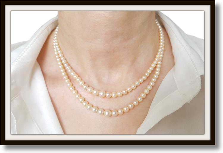 Vintage Akoya Cultured Graduated 2 Strand Pearl Necklace Pearl Clasp 16"