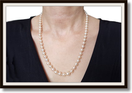 Cultured Graduated Knotted Pearl Necklace 21in 8.81mm-5.87mm