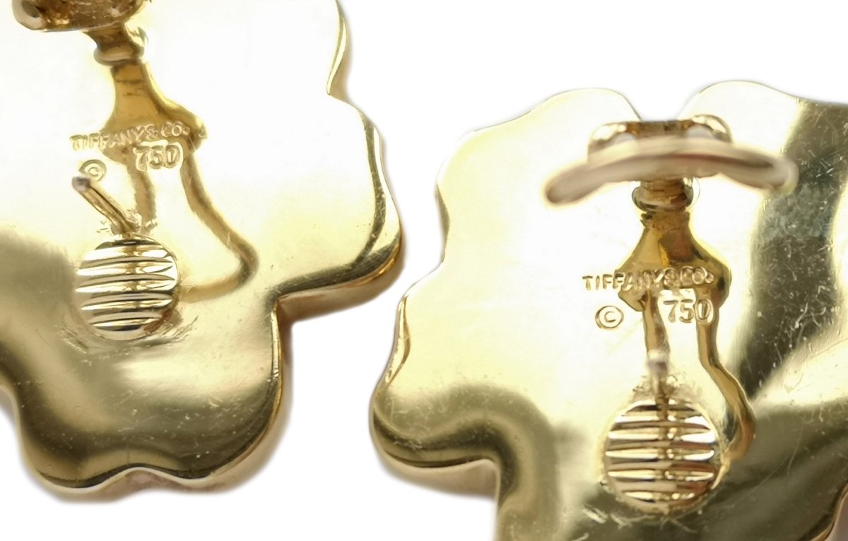 Tiffany & Co 1970s Angela Cummings Starfish Earrings Coral Onyx - Bloomsbury Manor Ltd